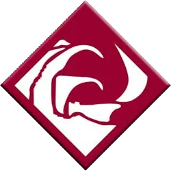 IBM Rational Rose Logo